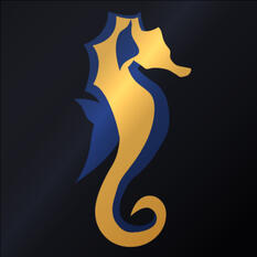 The DrakonForge Studios logo.